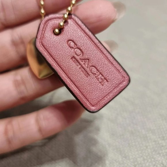 coach Nolita 19 In Signature Canvas With Stripe Heart Print CA796 - Picture 4 of 10